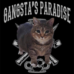 Gangsta's Paradise Oiia by Uiia Cat, OIIA Cat