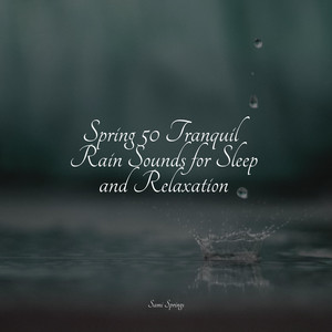 Light Metal-Roof Rain