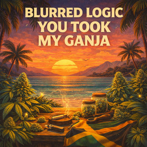 You Took My Ganja by Blurred Logic