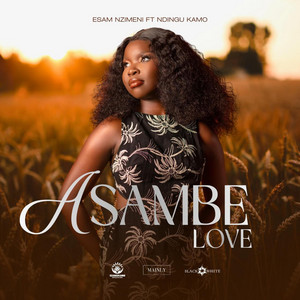 Asambe Love by Esam Nzimeni, Ndingu Kamo, Dj Summer, Jr Swiss