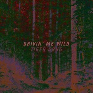 Tiger Gang - Drivin' Me Wild