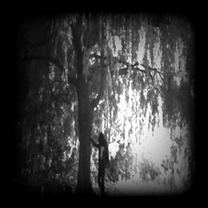 The Crying Tree by misère