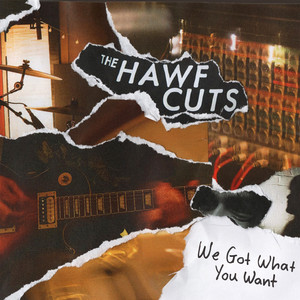 We Got What You Want by The Hawfcuts