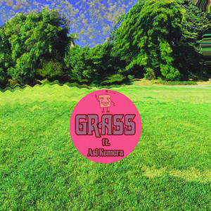 Portada de Grass