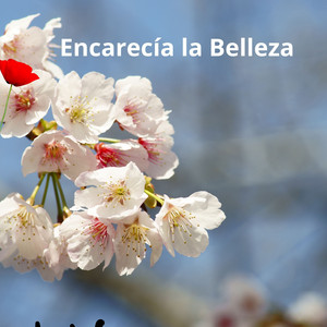 Encarecía la Belleza by Th3 Five 3