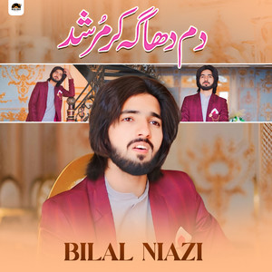 Bilal Niazi - Dam Dhaga Kar Murshid