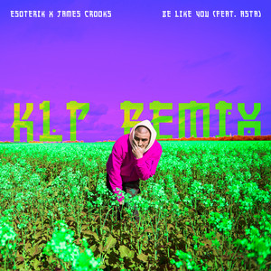 Be Like You (featuring ASTA) - KLP Remix