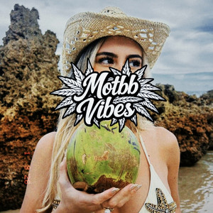 Hit n Run - Remix by Motbb Vibes
