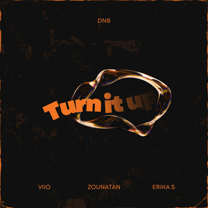 Turn It Up by VIIO, Zounatan, Erika S