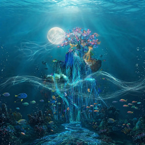 Under the ocean