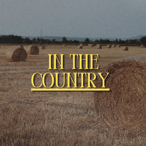 IN THE COUNTRY by Alex Mather