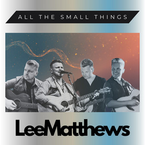 All the Small Things by Lee Matthews