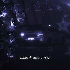 can't give up by zyne