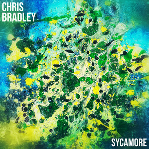 Sycamore by Chris Bradley