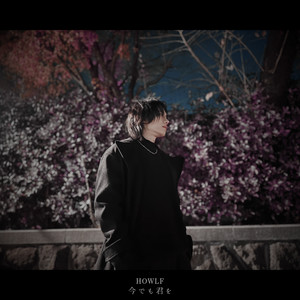 HOWLF & Hibiki - Imademokimiwo