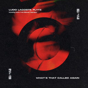 What's That Called Again by Ludo Lacoste, Flytz
