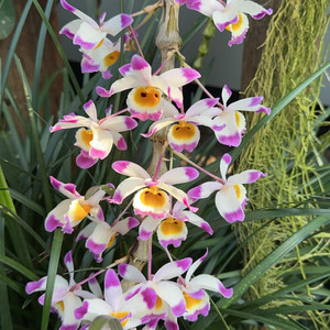 Queennivie - Lost and Found