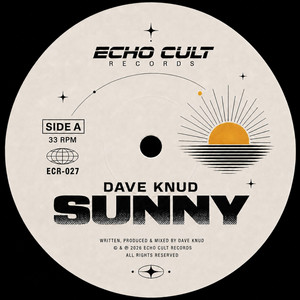 Sunny by Dave Knud