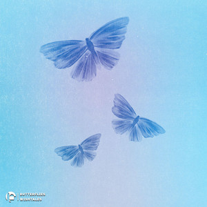 butterflies by wishtales