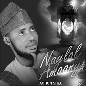 Action Sheu - Naylal Amaany