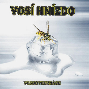 Vosí hnízdo