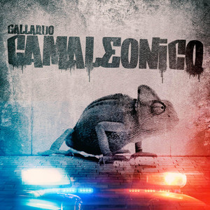Camaleonico by DENEK, Gallardo
