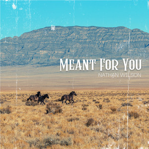 Meant For You by Nathan Wilson