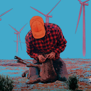 Mot Vinden (Against the Wind) by Daniel Herskedal