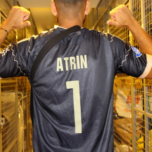 Atrin by Atrin