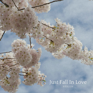 Just Fall in Love - Radio Edit by Aerion