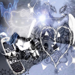 Portada de zebras