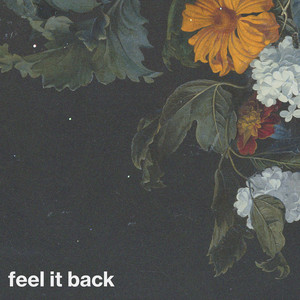 feel it back by evän