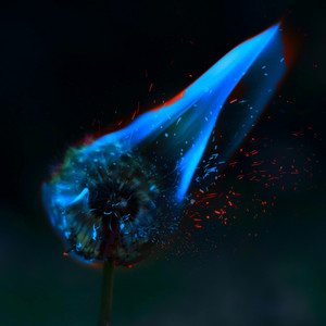 Entropy (Max Maxwell Remix) by FiBu, Max Maxwell
