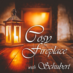 Cosy Fireplace with Schubert album