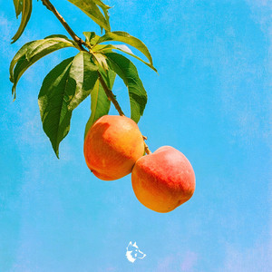 Peaches by Tundra Beats