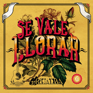 Se Vale Llorar by Grijalba