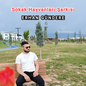 ERHANO - Sokak Hayvanları