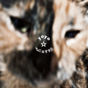 Yoyo Cass - Bola Ocho