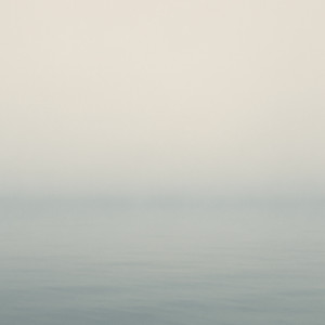 Still by Daniel Schrage