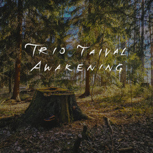 Luoto by Trio Taival