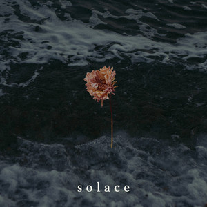 Solace by Ollie Dixon