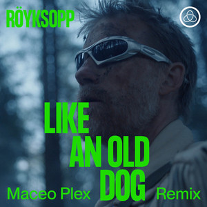 Like An Old Dog - Maceo Plex Remix by Röyksopp, Maceo Plex, Pixx
