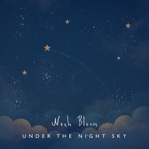 Under the Night Sky by Noah Bloom