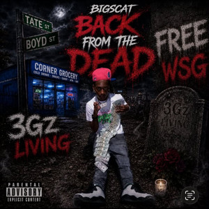Made Me Mad by Big Scat, RoddyTreyy