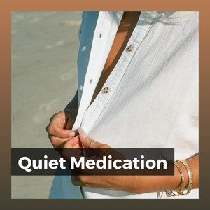 Quiet Medication album