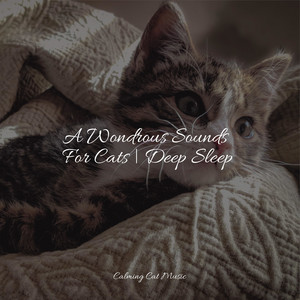 A Wondrous Sounds For Cats | Deep Sleep album