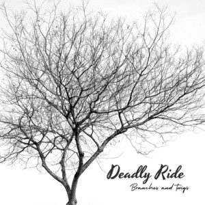 Meditative Pulse by Deadly Ride, Clevz