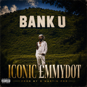 BANK U by Iconic Emmydot