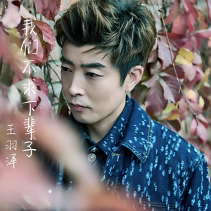 王羽泽 - 我们不求下辈子