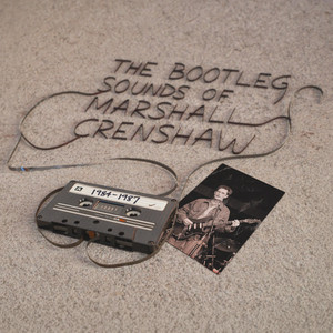 (We're Gonna) Shake Up Their Minds by Marshall Crenshaw